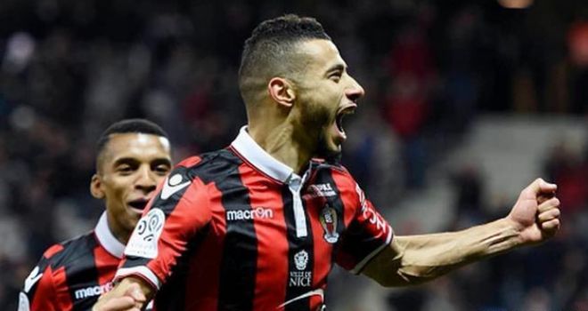 他们将占据 他们将占据